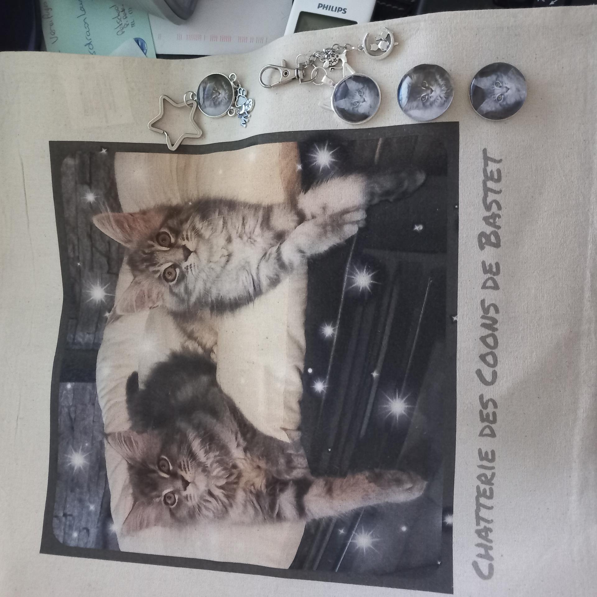 Surprise adoptants !